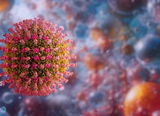 Health Officials Confirm Measles Case Linked To Gresham Grocery Store Exposure