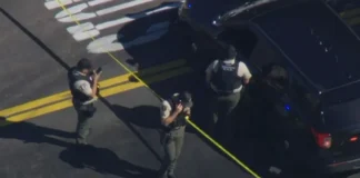 ICE Agents Shoot And Wound Man During Traffic Stop In Central California