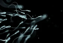 Can Stress Affect Sperm? What Men Should Know About Fertility