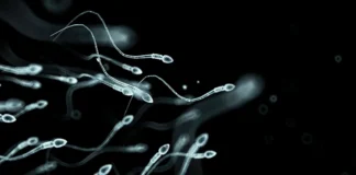 Can Stress Affect Sperm? What Men Should Know About Fertility