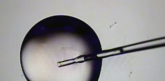 Trump Promised No-Cost IVF Treatment For All. That’s Still A Long Way Off