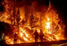 July Was The Hottest Month In The U.S. Since Records Began In 1895