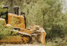 Bulldozers Rip Into Big Bend National Park, Driving Anger And Heartbreak
