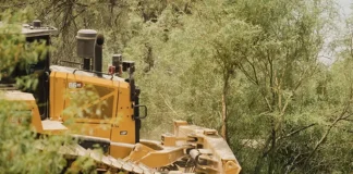 Bulldozers Rip Into Big Bend National Park, Driving Anger And Heartbreak