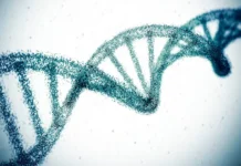 With The Snip Of A Gene, Scientists Hope To Erase High Cholesterol For Life
