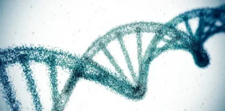 With The Snip Of A Gene, Scientists Hope To Erase High Cholesterol For Life