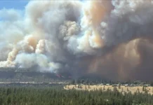 Thousands Ordered To Flee Homes As Fast-Moving Wildfire Grows In Spokane County, Washington