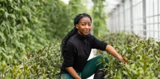 The Black Church Fed Souls. Now It Must Feed Communities