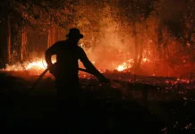 El Niño Just Leveled Up To Super Status. Here’s What That Means For The Weather