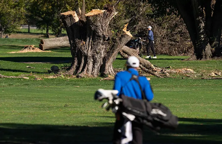 Trump Says Construction To Begin ‘IMMEDIATELY!' On Golf Course Despite Judge's Order