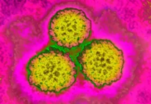 About 1 In 8 Cancer Cases Worldwide Are Tied To These Infections — Most Of Them Preventable